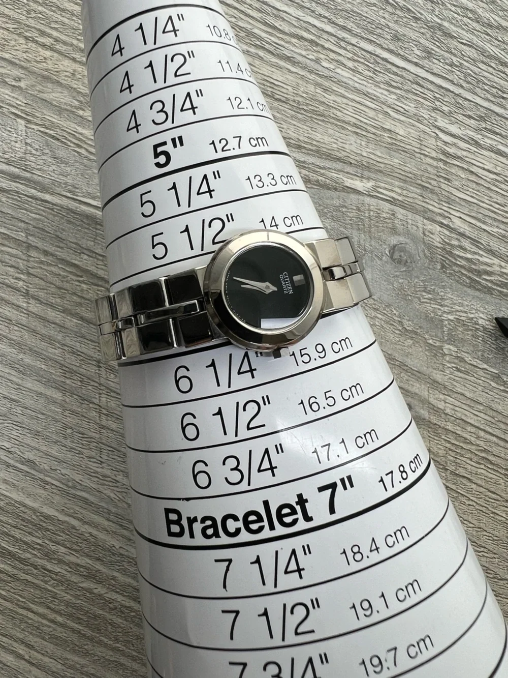 Citizen Silver Stainless Ladies Steel Watch with Black Dial